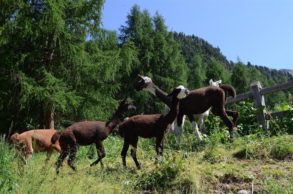 La Tresenda Hotel&mountain Farm *