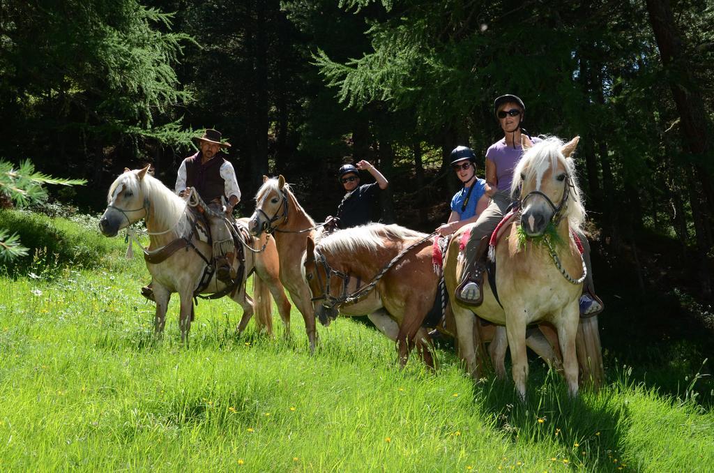 Hotel La Tresenda Hotel&mountain Farm
